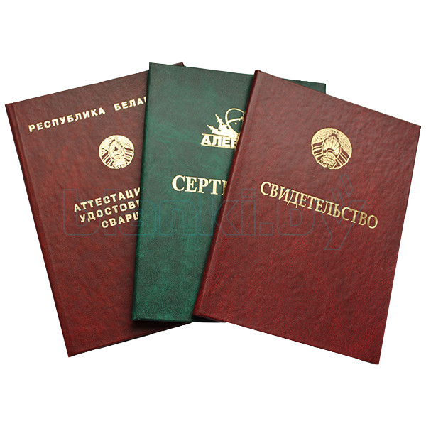 Студенческая жизнь в СПбГЭУ Образование и возможности